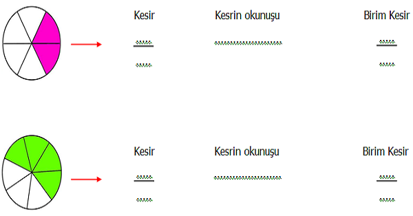 3.Sınıf Matematik Kesirler (Parça Bütün İlişkisi ve Birim Kesirler) Etkinliği 2