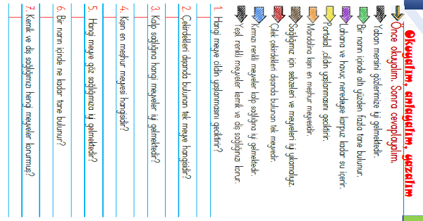1.Sınıf Türkçe Okuyalım-Anlayalım-Yazalım Etkinliği