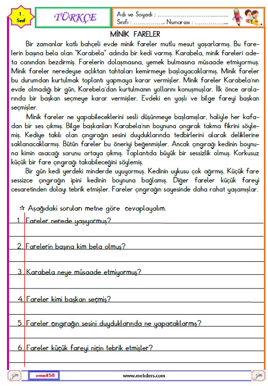 1. Sınıf Türkçe Okuma ve Anlama Etkinliği (Minik Fareler)