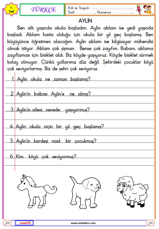 1. Sınıf Türkçe Okuma ve Anlama Metni Etkinliği (Aylin)