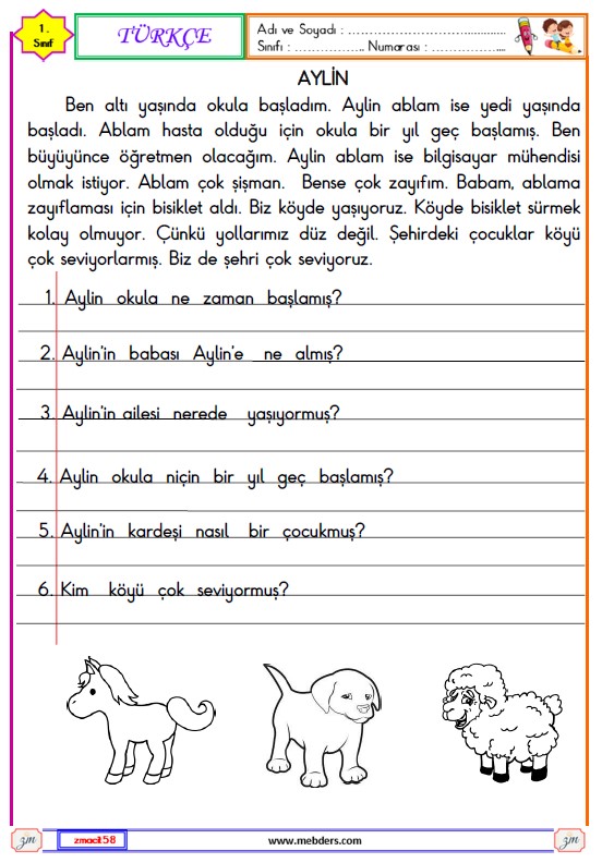 1. Sınıf Türkçe Okuma ve Anlama Metni Etkinliği (Aylin)