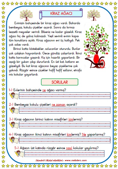 1.Sınıf Türkçe Kiraz Ağacı Okuma Anlama Metin Çalışması  18