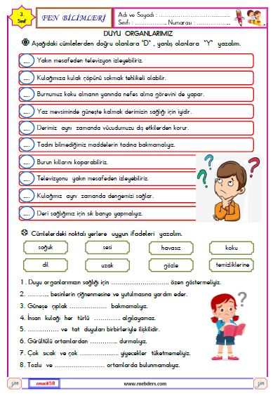 3. Sınıf Fen Bilimleri Duyu Organlarımız Etkinliği 4