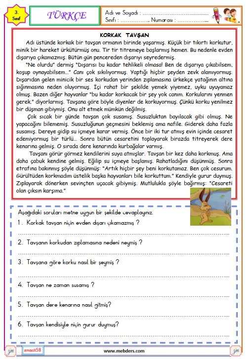3. Sınıf Türkçe Okuma ve Anlama Metni Etkinliği (Korkak Tavşan)