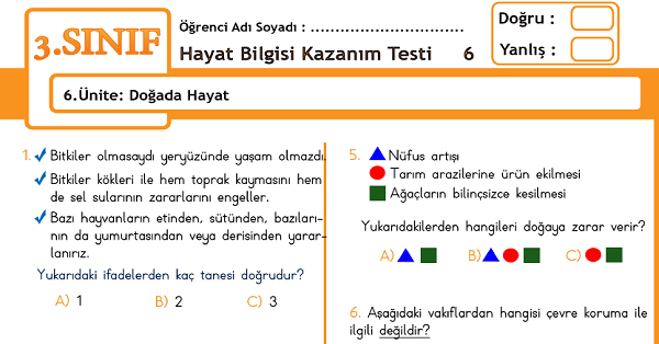 3.Sınıf Hayat Bilgisi Kazanım Testi - 6.Ünite - Doğada Hayat