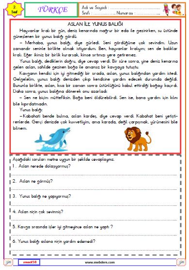 2. Sınıf Türkçe Okuma ve Anlama  Etkinliği (Aslan ile Yunus Balığı)