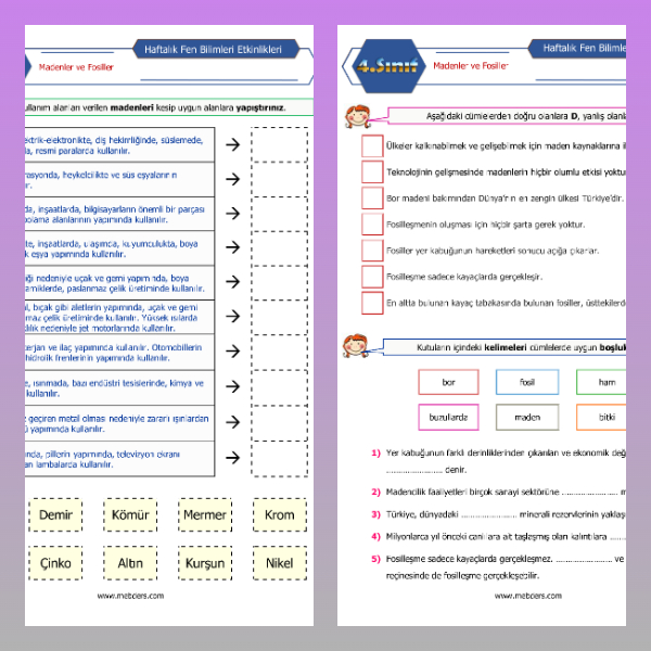 4. Sınıf Fen Bilimleri - Madenler ve Fosiller Etkinlikleri