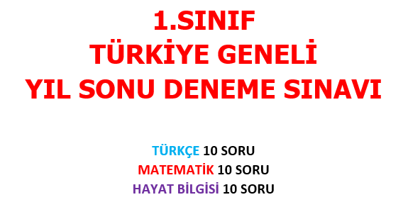 1.Sınıf - Yılsonu Denemesi pdf