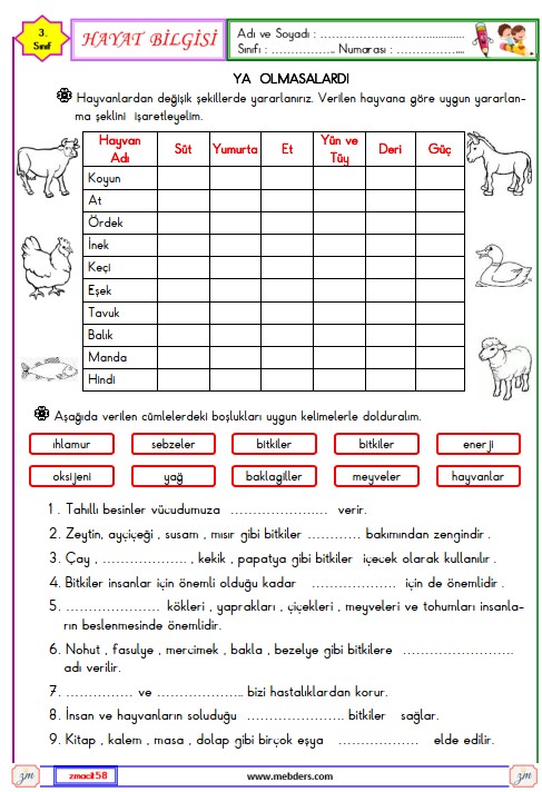 3. Sınıf Hayat Bilgisi Hayvanların ve Bitkilerin Önemi Etkinliği 3