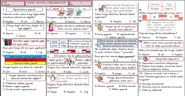 2.Sınıf Hayat Bilgisi  Doğal Afetler ve Önlemler Testi
