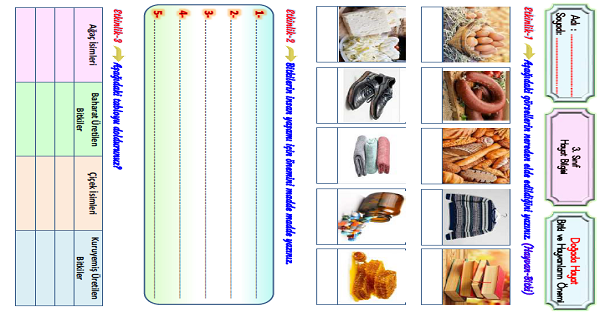 3.Sınıf Hayat Bilgisi Bitki ve Hayvanların Yaşamımızdaki Önemi Etkinliği