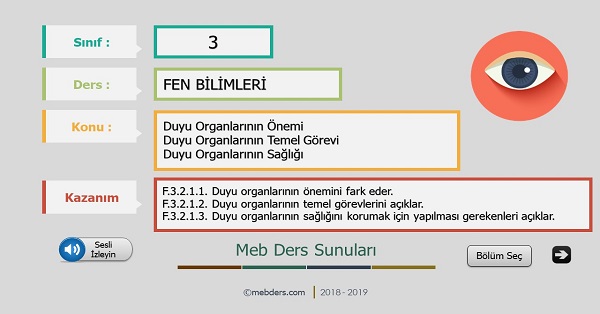 3.Sınıf Fen Bilimleri Duyu Organlarımız ve Görevleri Sunusu