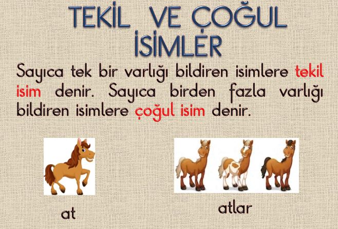 2. Sınıf Türkçe Tekil ve Çoğul İsimler  Powerpoint Sunumu