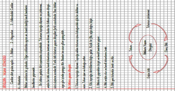 3.Sınıf Fen Bilimleri Bitkilerin Yaşam Döngüsü Konu Anlatımı