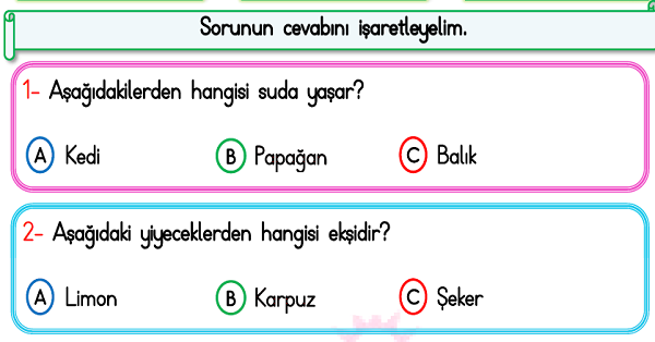 1.Sınıf Türkçe Okuma Anlama (Test) Etkinliği-3