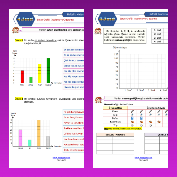 4. Sınıf Matematik - Sütun Grafiği İnceleme ve Oluşturma Etkinliği