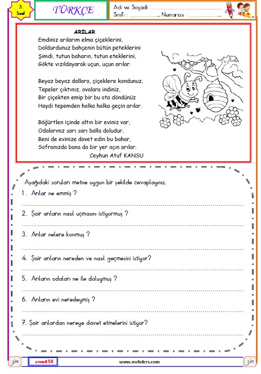 3. Sınıf Türkçe  Okuma ve Anlama Metni  Etkinliği (Arılar)