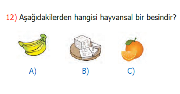 2.Sınıf Hayat Bilgisi Öğün Listem Kazanım Testi