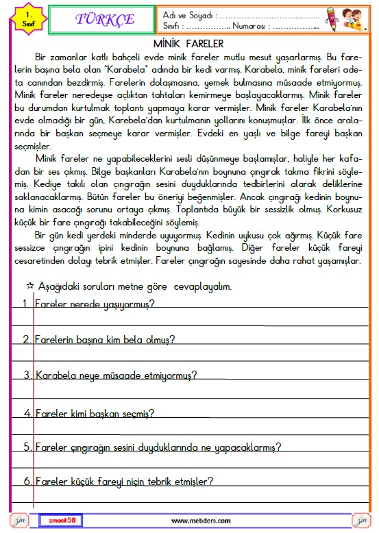 1. Sınıf Türkçe  Okuma ve Anlama Metni Etkinliği (Minik Fareler)