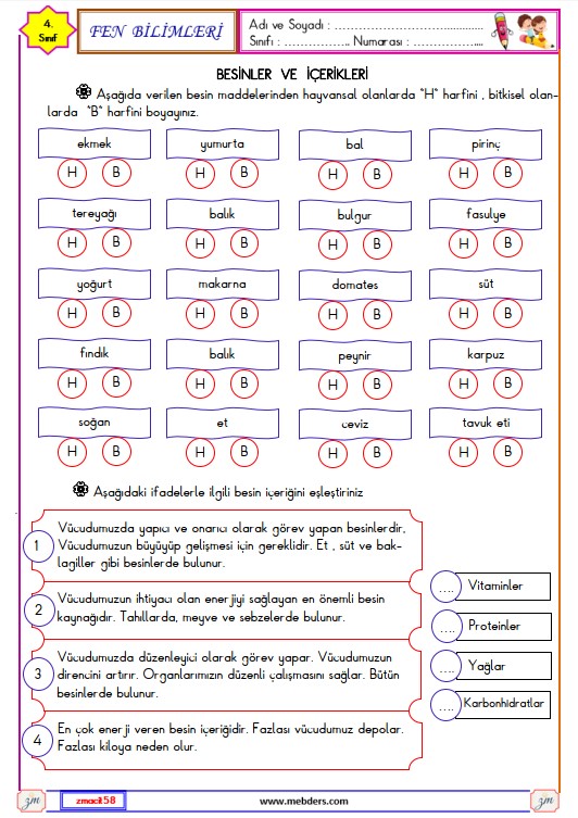 4. Sınıf Fen Bilimleri Besinler ve İçerikleri Etkinliği