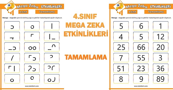 4.Sınıf Mega Zeka Etkinliği - Tamamlama