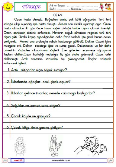 1. Sınıf Türkçe Okuma ve Anlama Metni Etkinliği (Ozan)