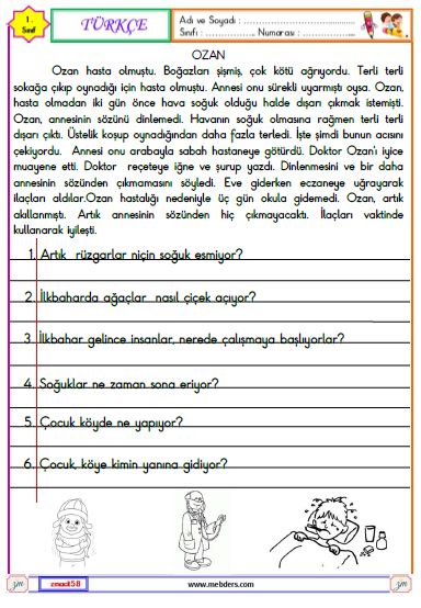 1. Sınıf Türkçe Okuma ve Anlama Metni Etkinliği (Ozan)