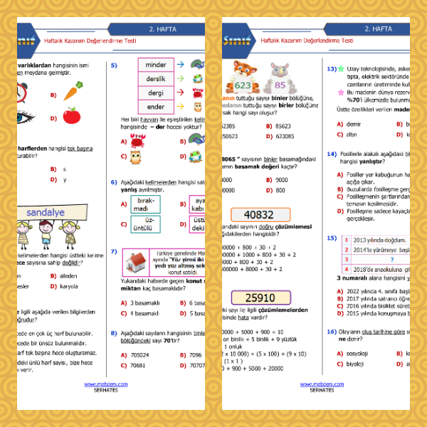 4. Sınıf Haftalık Değerlendirme Testi - 2. Hafta