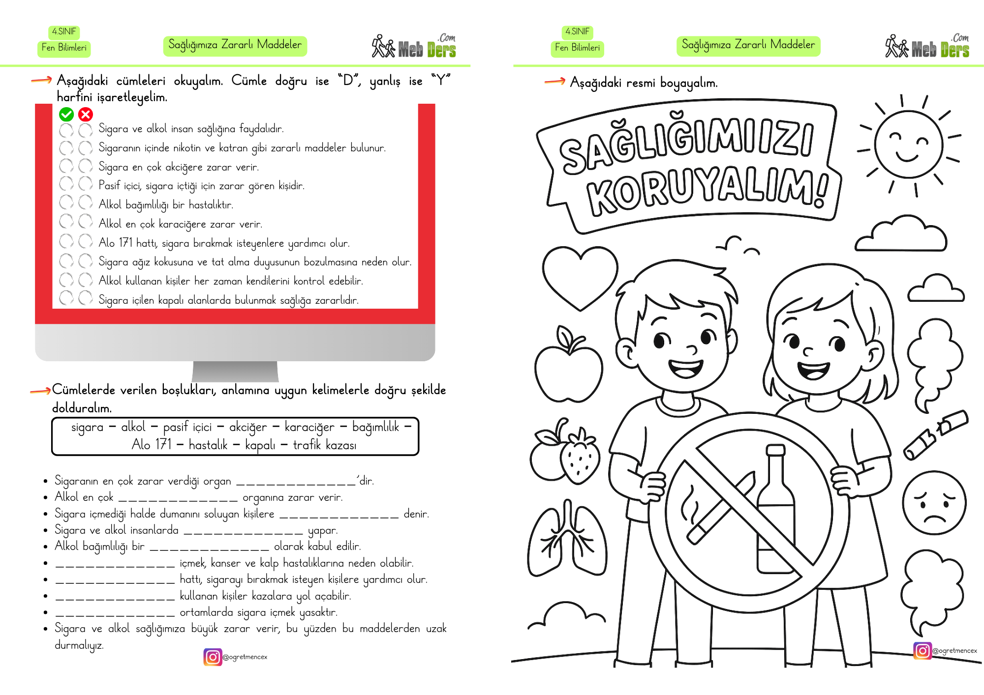 4. Sınıf Fen Bilimleri Sağlığa Zararlı Maddeler Etkinliği (2 Sayfa)