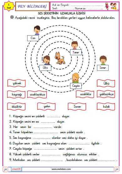 3. Sınıf Fen Bilimleri Ses kaynakları Etkinliği 2