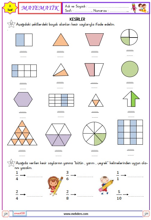 3. Sınıf Matematik Bütün , Yarım ve Çeyrek  Etkinliği 2