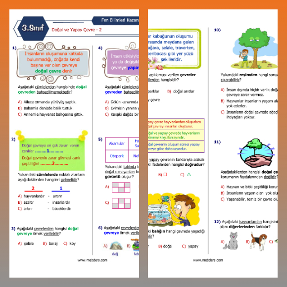 3. Sınıf Fen Bilimleri Doğal ve Yapay Çevre - 2 Kazanım Testi