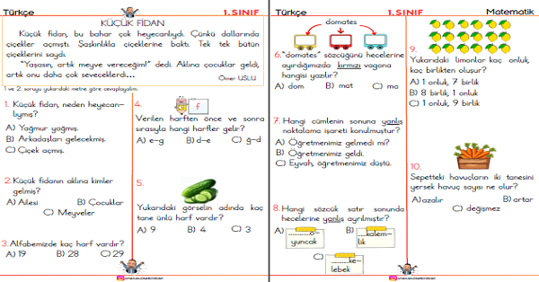 1. Sınıf Genel Değerlendirme 1 (Türkçe Matematik Hayat Bilgisi)