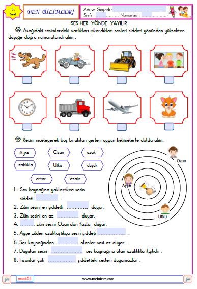 3. Sınıf Fen Bilimleri Ses Her Yönde Yayılır Etkinliği