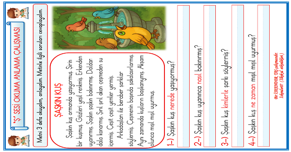 1. Sınıf İlk Okuma Yazma Ş Sesi Okuma Anlama Çalışması