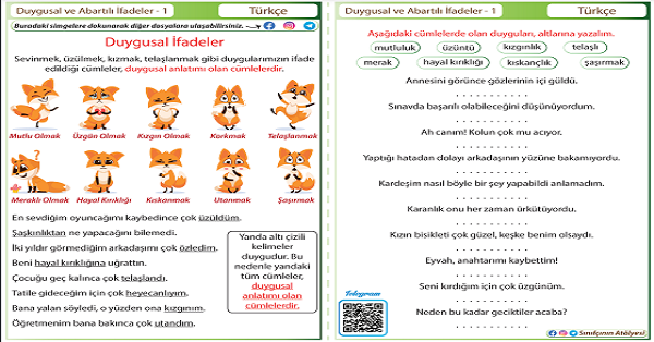 4.Sınıf Türkçe Duygusal ve Abartılı İfadeler Etkinliği