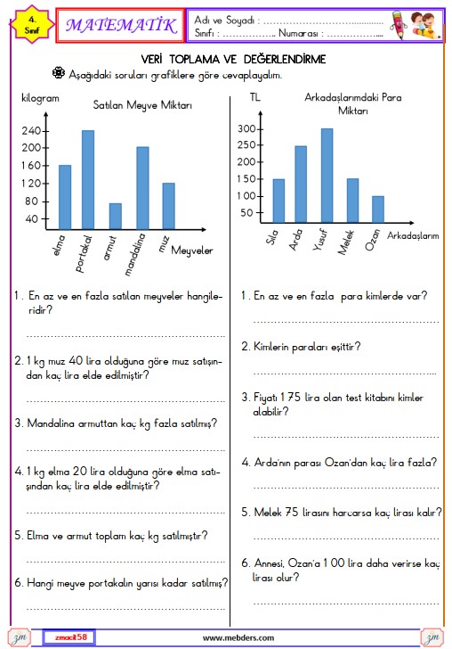 4. Sınıf Matematik Veri Toplama ve Değerlendirme Etkinliği 5