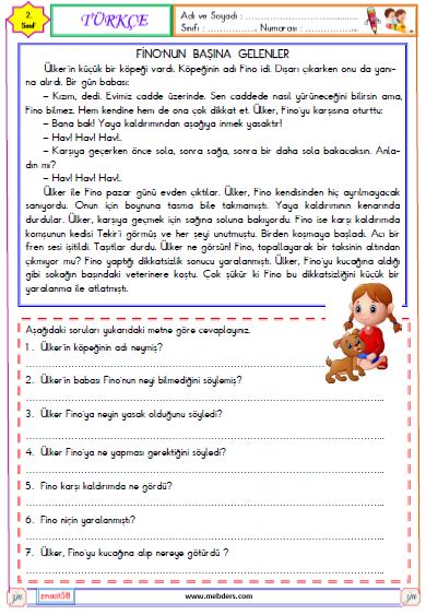 2. Sınıf Türkçe Okuma ve Anlama Etkinliği (Fino'nun Başına Gelenler)