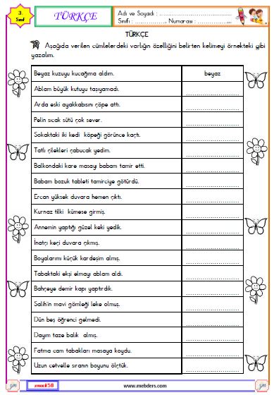 3. Sınıf Türkçe Varlıkların Özelliklerini Belirten Kelimeler Etkinliği 1