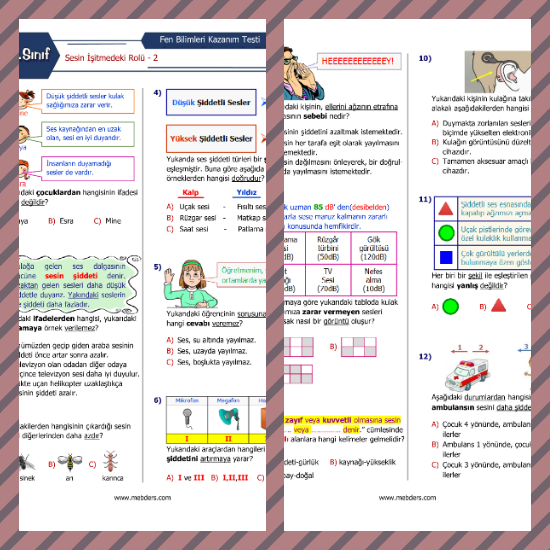 3. Sınıf Fen Bilimleri Sesin İşitmedeki Rolü-2 Kazanım Testi