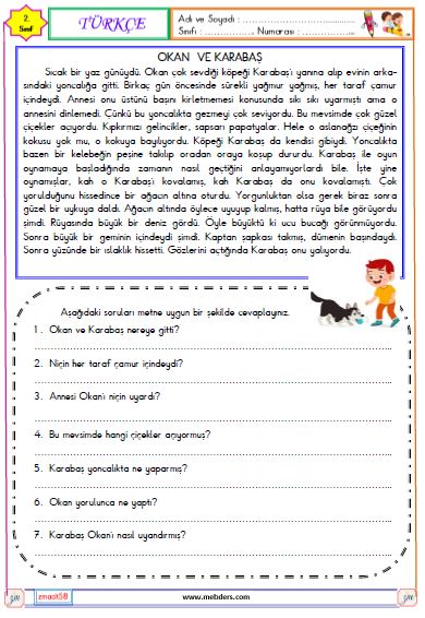 2. Sınıf Türkçe Okuma ve Anlama  Etkinliği (Okan ve Karabaş)