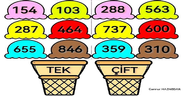 3.Sınıf Matematik Tek ve Çift Sayılar Defter Çalışması