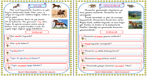 1. Sınıf Türkçe Okuma Anlama (Hayvanlar) Bilgilendirici Metinler 5 Sayfa