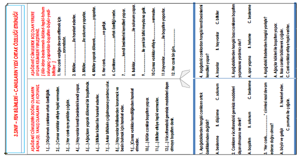3.Sınıf - Fen Bilimleri Canlıların Yedi Ortak Özelliği Etkinliği