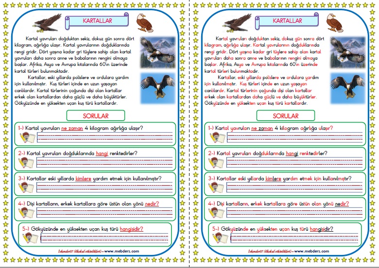 1.Sınıf Türkçe Kartallar Okuma Anlama Metin Çalışması  11