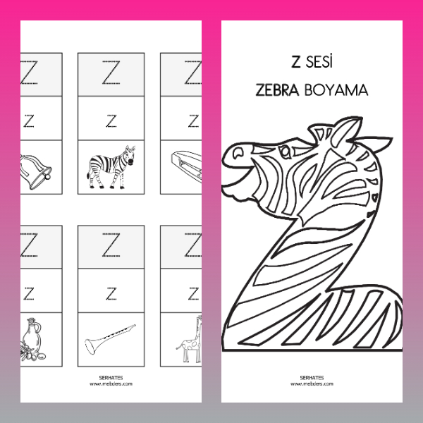 1. Sınıf İlkokuma Yazma - Z Sesi Boyamalı Ses Kartları Etkinliği
