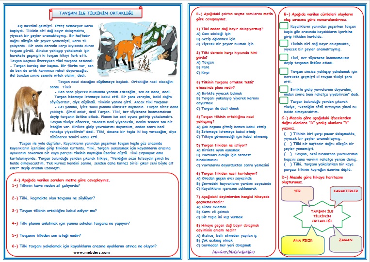 3.Sınıf Türkçe Tavşan ile Tilkinin Ortaklığı Okuma Anlama Metin Çalışması  6