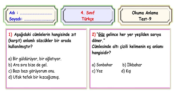 4.Sınıf Türkçe Okuma Anlama Sene Sonu Değerlendirme Testi 9