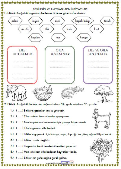 2. Sınıf Hayat Bilgisi Bitkilerin ve Hayvanların İhtiyaçları Etkinliği