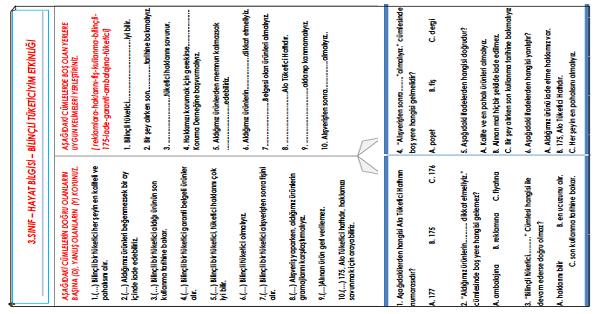 3.Sınıf - Hayat Bilgisi Bilinçli Tüketiciyim Etkinliği